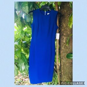 Calvin Klein Dress Size 2 (New with tags)